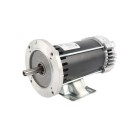 HySecurity Motor, Electric, 24VDC, 2 hp - MX001647