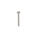 HySecurity Carriage Bolt, 1/4-20x2-1/2, S/S - MX002430