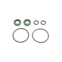 HySecurity Pump Seal Kit for Hydraulic Gate Operators - MX000971